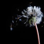 „Nie musisz być najlepsza”, czyli opowieść o tym jak porzucam bycie perfekcyjną.