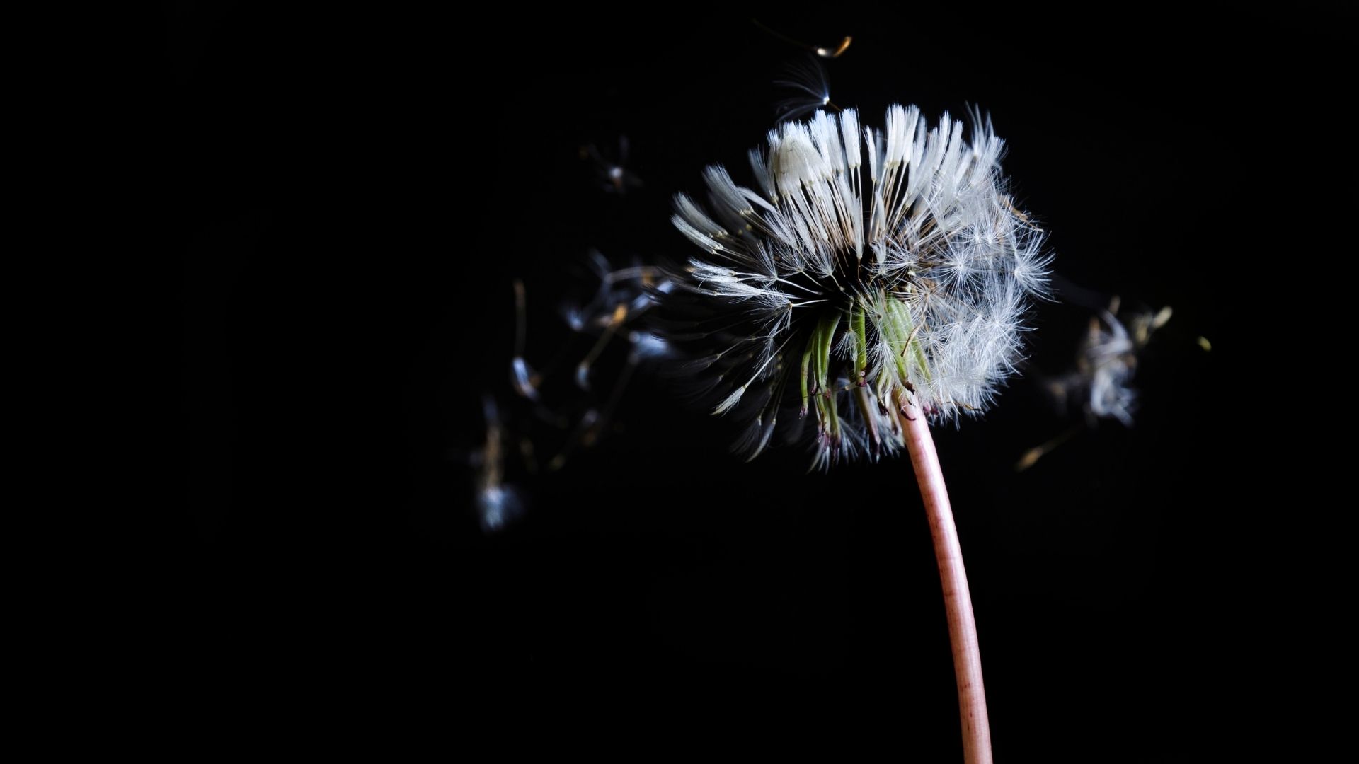 „Nie musisz być najlepsza”, czyli opowieść o tym jak porzucam bycie perfekcyjną.